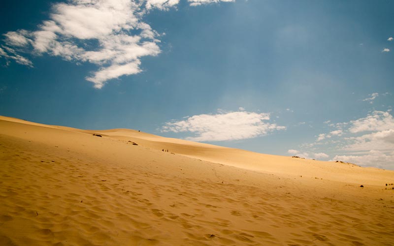 Classe de mer dans le bassin d’Arcachon | Élément Terre - © Fabrizio Sciami-Flickr - Dune du Pilat