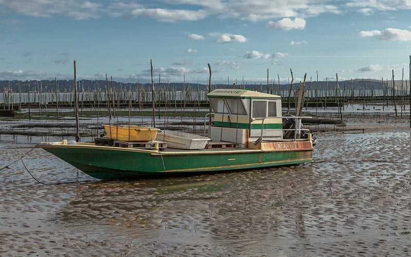 Classe de mer dans le bassin d’Arcachon | Élément Terre - © www.SuperCar-RoadTrip.fr-Flickr - pinasse