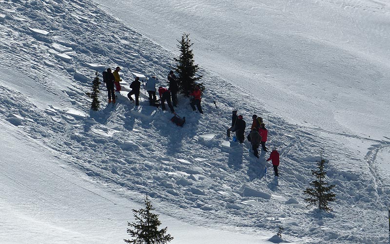 Classe de montagne en hiver en Auvergne | Élément Terre