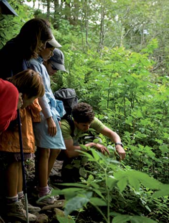 botanique avec Élément Terre