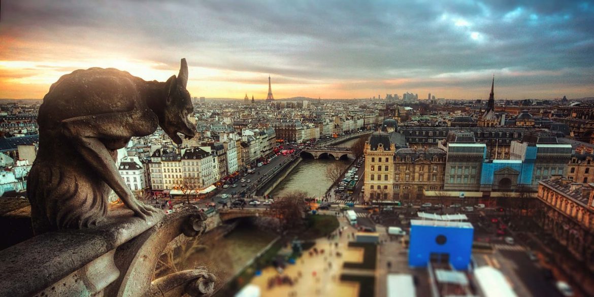 Paris depuis Notre-Dame - ©Lima Pix - Élément Terre