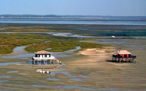 Classe de mer dans le bassin d’Arcachon | Élément Terre - cabanes tchanquées