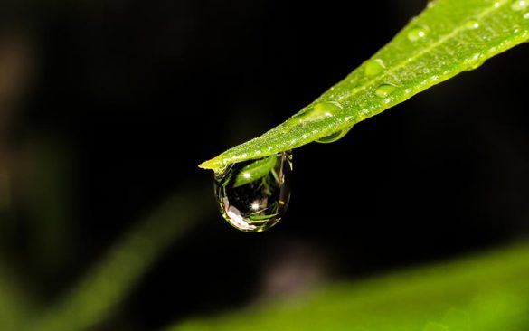 Classe d'eau en Auvergne | Élément Terre - © Axel Naud-Flickr - goutte d'eau