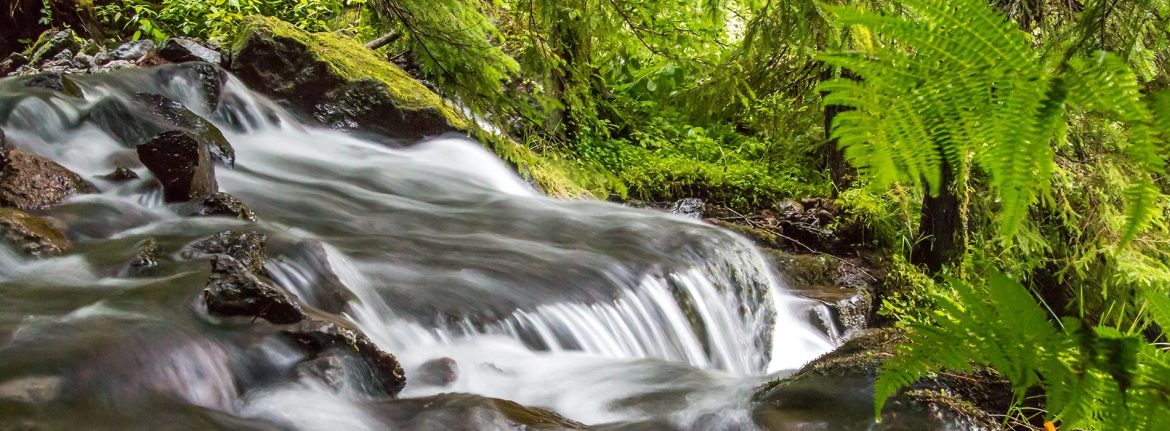 Classe d'eau en Auvergne | Élément Terre - © Thierry Leclerc-Flickr - Cascade au Mont Dore