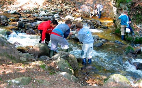 Classe d'eau en Auvergne | Élément Terre - étude de cours d'eau