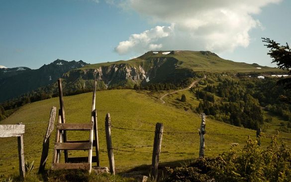 Classe de montagne printemps/automne en Auvergne | Élément Terre - © Alpha du centaure-Flickr - paturage d'Auvergne