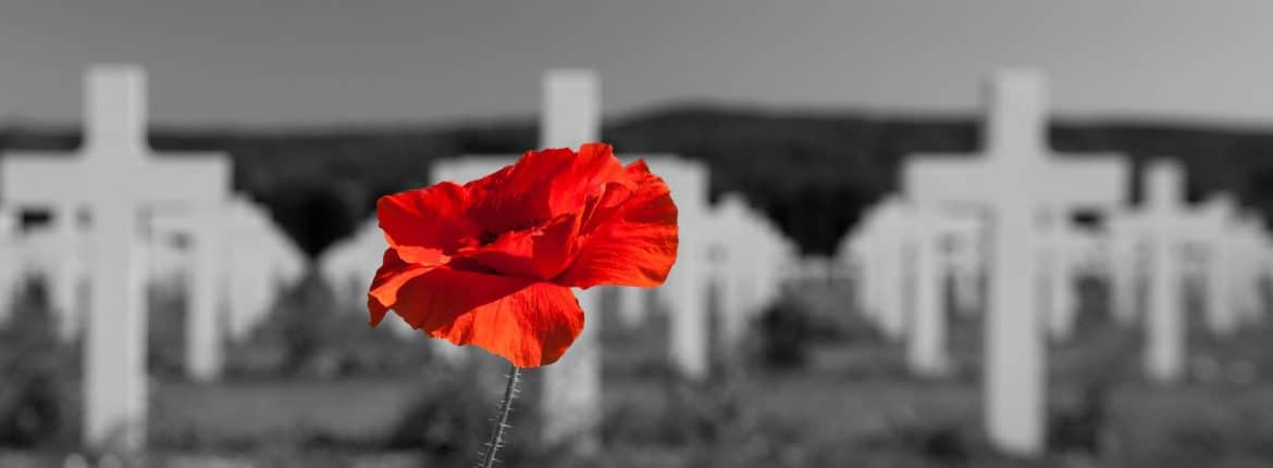 Verdun, l’encyclopédie de la Première Guerre Mondiale | Élément terre - © flamouroux - coquelicot au cimetière militaire